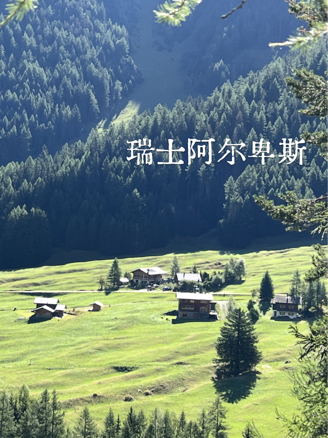 小红书产品帖子.006